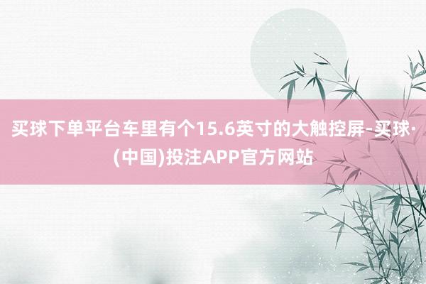 买球下单平台车里有个15.6英寸的大触控屏-买球·(中国)投注APP官方网站