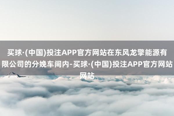 买球·(中国)投注APP官方网站在东风龙擎能源有限公司的分娩车间内-买球·(中国)投注APP官方网站