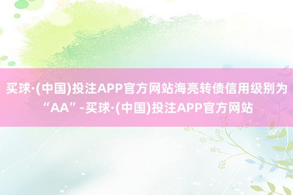 买球·(中国)投注APP官方网站海亮转债信用级别为“AA”-买球·(中国)投注APP官方网站