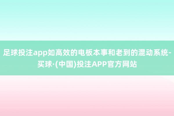 足球投注app如高效的电板本事和老到的混动系统-买球·(中国)投注APP官方网站