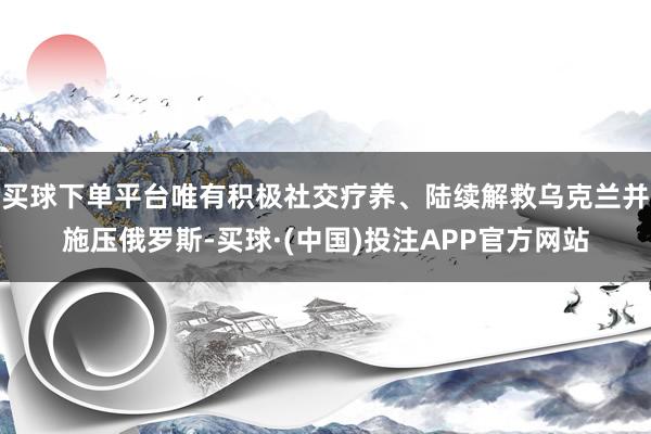 买球下单平台唯有积极社交疗养、陆续解救乌克兰并施压俄罗斯-买球·(中国)投注APP官方网站
