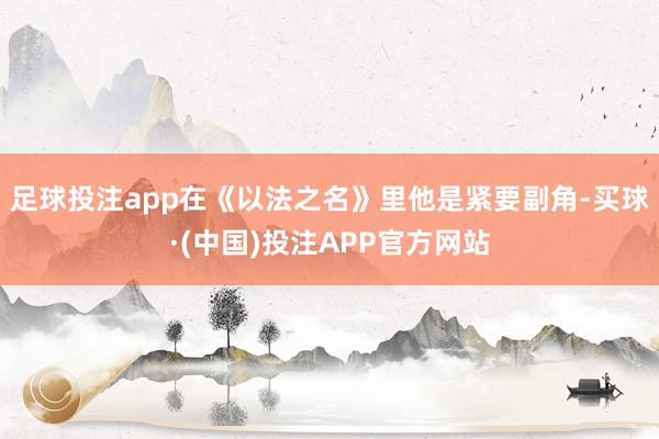 足球投注app在《以法之名》里他是紧要副角-买球·(中国)投注APP官方网站