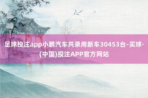 足球投注app小鹏汽车共录用新车30453台-买球·(中国)投注APP官方网站