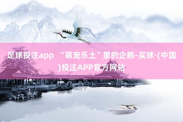 足球投注app  “萌宠乐土”里的企鹅-买球·(中国)投注APP官方网站