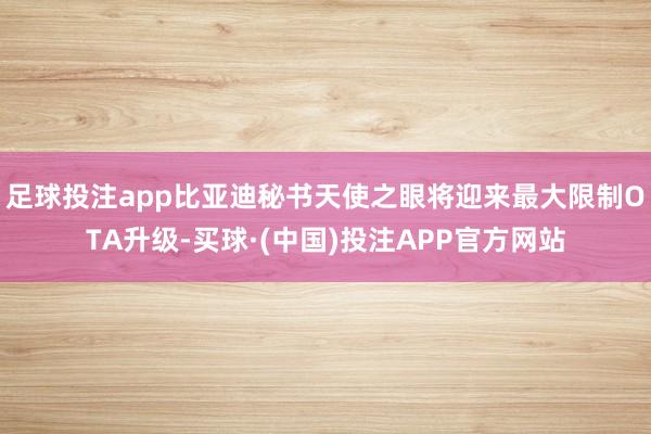 足球投注app比亚迪秘书天使之眼将迎来最大限制OTA升级-买球·(中国)投注APP官方网站