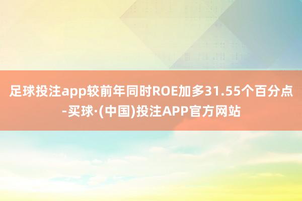 足球投注app较前年同时ROE加多31.55个百分点-买球·(中国)投注APP官方网站