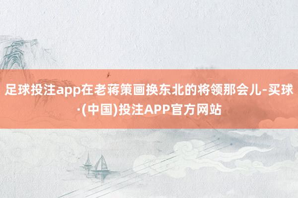 足球投注app在老蒋策画换东北的将领那会儿-买球·(中国)投注APP官方网站
