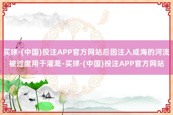 买球·(中国)投注APP官方网站后因注入咸海的河流被过度用于灌溉-买球·(中国)投注APP官方网站