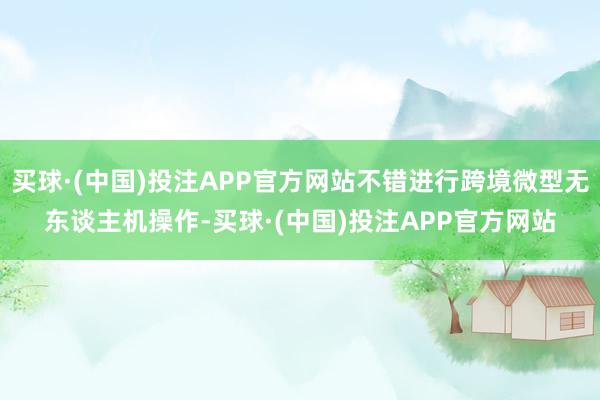买球·(中国)投注APP官方网站不错进行跨境微型无东谈主机操作-买球·(中国)投注APP官方网站
