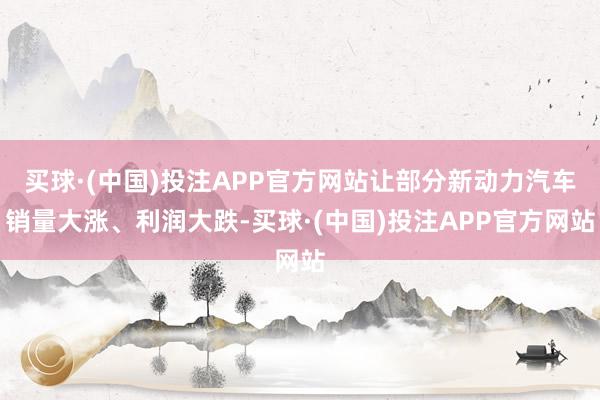 买球·(中国)投注APP官方网站让部分新动力汽车销量大涨、利润大跌-买球·(中国)投注APP官方网站
