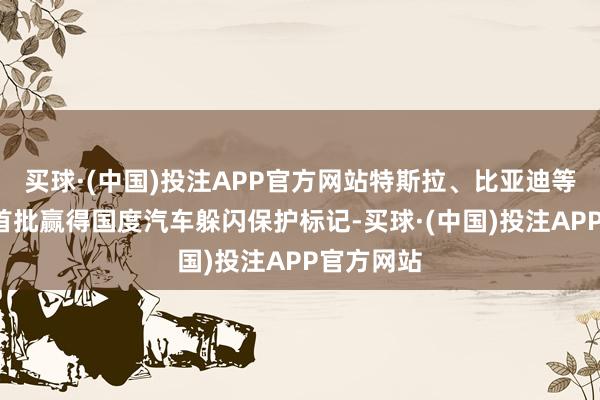 买球·(中国)投注APP官方网站特斯拉、比亚迪等6家车企首批赢得国度汽车躲闪保护标记-买球·(中国)投注APP官方网站