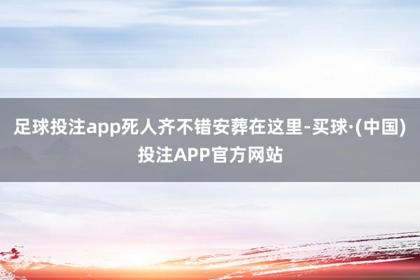 足球投注app死人齐不错安葬在这里-买球·(中国)投注APP官方网站