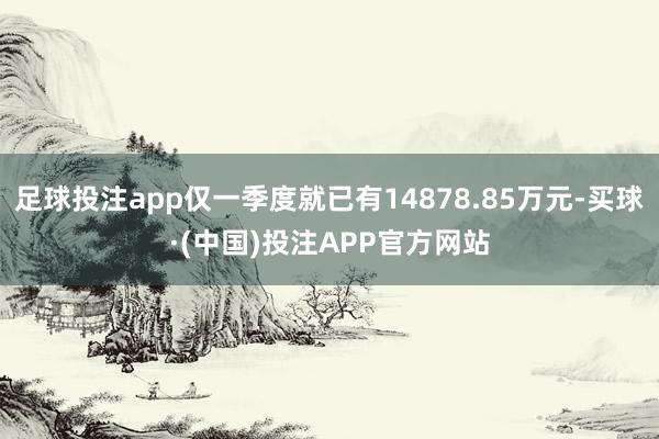 足球投注app仅一季度就已有14878.85万元-买球·(中国)投注APP官方网站