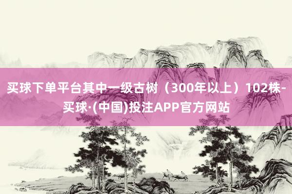 买球下单平台其中一级古树（300年以上）102株-买球·(中国)投注APP官方网站