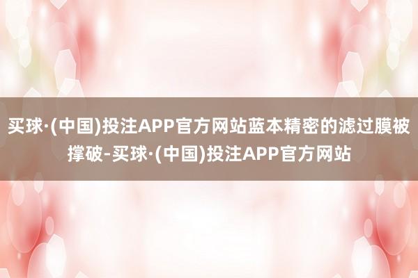 买球·(中国)投注APP官方网站蓝本精密的滤过膜被撑破-买球·(中国)投注APP官方网站