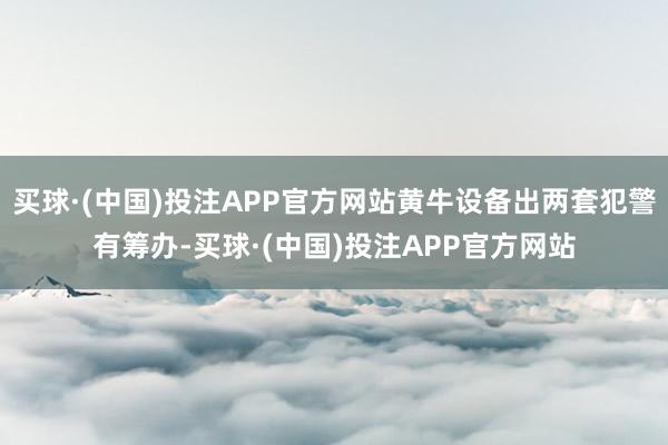 买球·(中国)投注APP官方网站黄牛设备出两套犯警有筹办-买球·(中国)投注APP官方网站