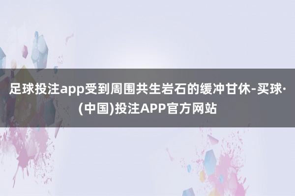足球投注app受到周围共生岩石的缓冲甘休-买球·(中国)投注APP官方网站