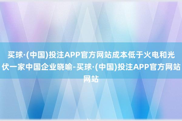 买球·(中国)投注APP官方网站成本低于火电和光伏一家中国企业晓喻-买球·(中国)投注APP官方网站