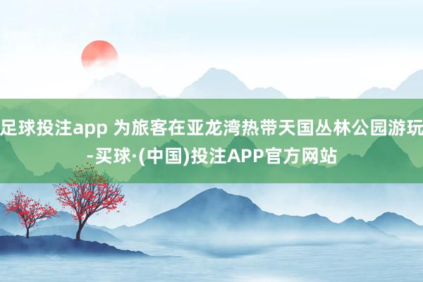 足球投注app 为旅客在亚龙湾热带天国丛林公园游玩-买球·(中国)投注APP官方网站