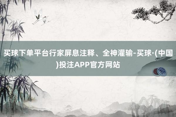 买球下单平台行家屏息注释、全神灌输-买球·(中国)投注APP官方网站