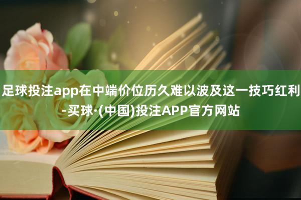 足球投注app在中端价位历久难以波及这一技巧红利-买球·(中国)投注APP官方网站