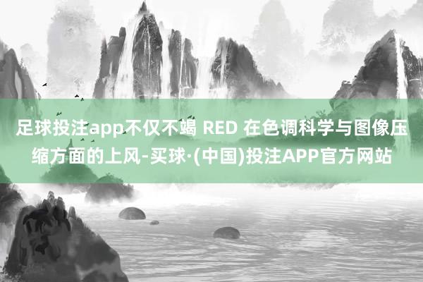 足球投注app不仅不竭 RED 在色调科学与图像压缩方面的上风-买球·(中国)投注APP官方网站