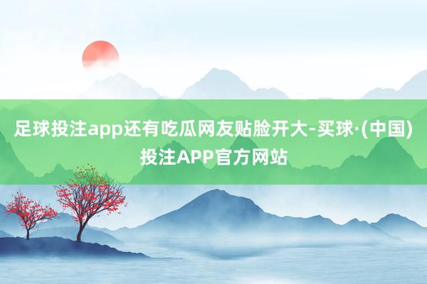 足球投注app还有吃瓜网友贴脸开大-买球·(中国)投注APP官方网站