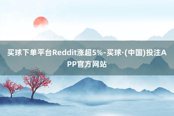 买球下单平台Reddit涨超5%-买球·(中国)投注APP官方网站
