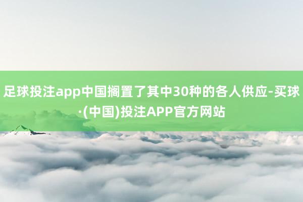 足球投注app中国搁置了其中30种的各人供应-买球·(中国)投注APP官方网站