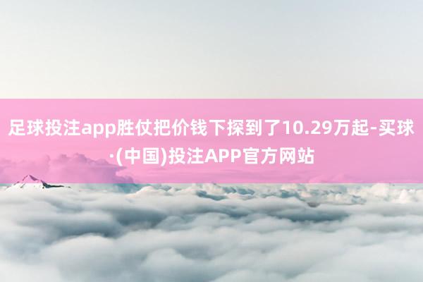 足球投注app胜仗把价钱下探到了10.29万起-买球·(中国)投注APP官方网站