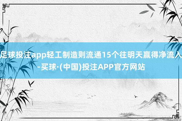 足球投注app轻工制造则流通15个往明天赢得净流入-买球·(中国)投注APP官方网站