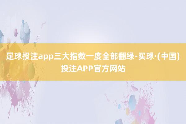 足球投注app三大指数一度全部翻绿-买球·(中国)投注APP官方网站