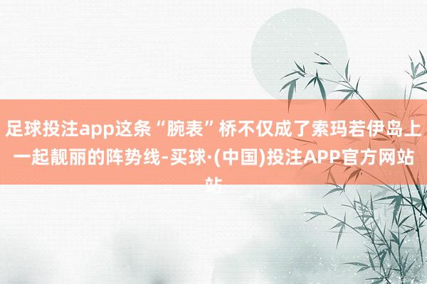 足球投注app这条“腕表”桥不仅成了索玛若伊岛上一起靓丽的阵势线-买球·(中国)投注APP官方网站