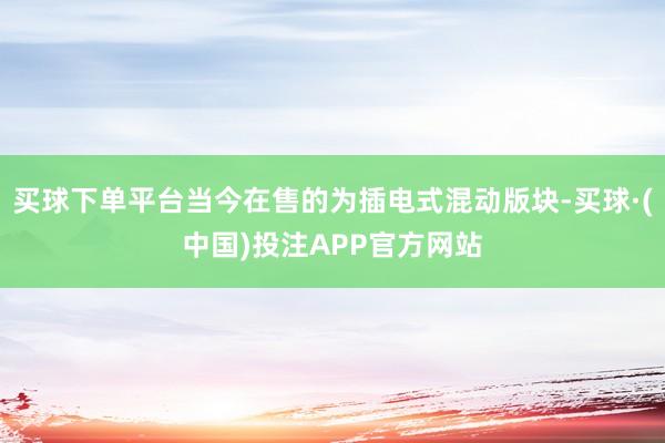 买球下单平台当今在售的为插电式混动版块-买球·(中国)投注APP官方网站
