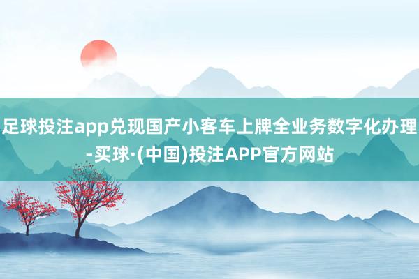 足球投注app兑现国产小客车上牌全业务数字化办理-买球·(中国)投注APP官方网站