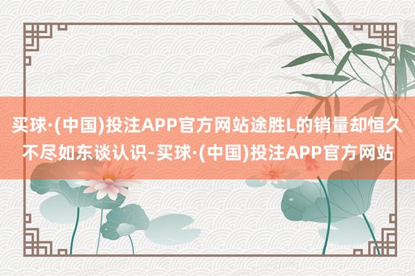 买球·(中国)投注APP官方网站途胜L的销量却恒久不尽如东谈认识-买球·(中国)投注APP官方网站