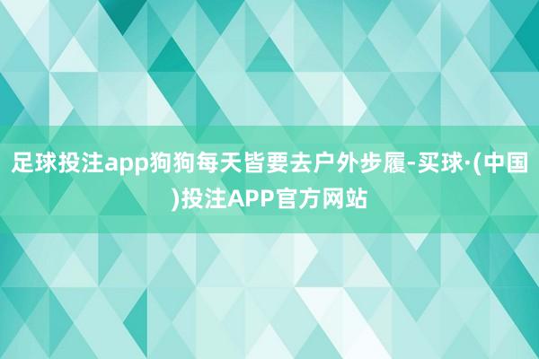 足球投注app狗狗每天皆要去户外步履-买球·(中国)投注APP官方网站