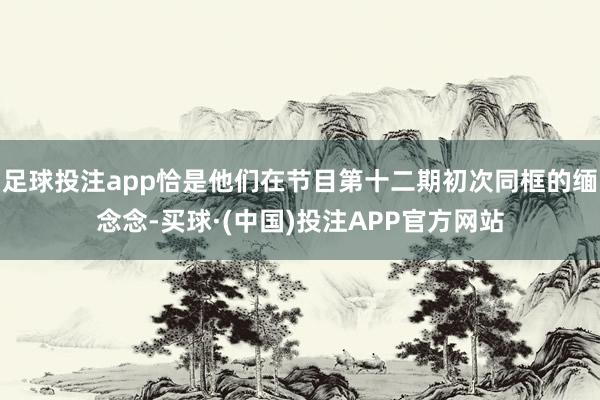 足球投注app恰是他们在节目第十二期初次同框的缅念念-买球·(中国)投注APP官方网站