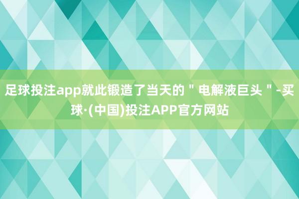 足球投注app就此锻造了当天的＂电解液巨头＂-买球·(中国)投注APP官方网站