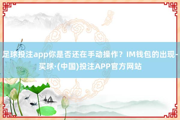 足球投注app你是否还在手动操作？IM钱包的出现-买球·(中国)投注APP官方网站