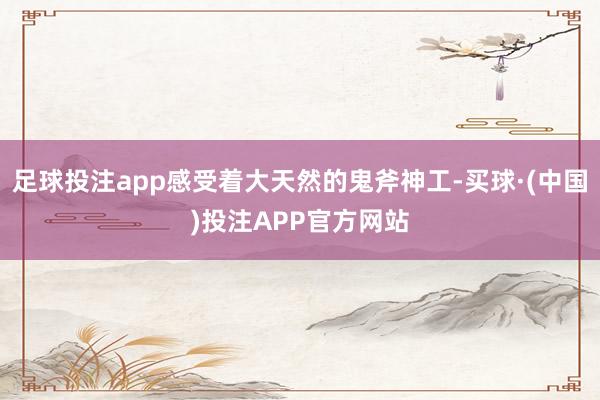 足球投注app感受着大天然的鬼斧神工-买球·(中国)投注APP官方网站