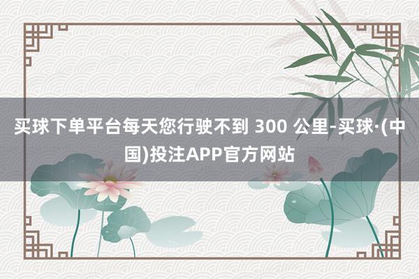 买球下单平台每天您行驶不到 300 公里-买球·(中国)投注APP官方网站