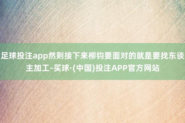 足球投注app然则接下来柳钧要面对的就是要找东谈主加工-买球·(中国)投注APP官方网站