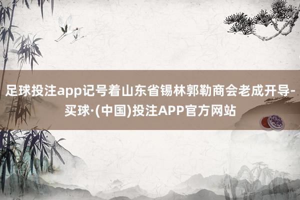 足球投注app记号着山东省锡林郭勒商会老成开导-买球·(中国)投注APP官方网站
