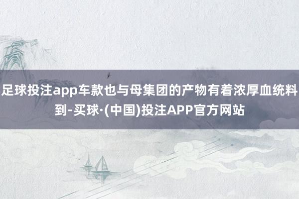足球投注app车款也与母集团的产物有着浓厚血统料到-买球·(中国)投注APP官方网站