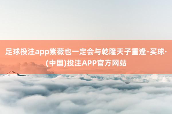 足球投注app紫薇也一定会与乾隆天子重逢-买球·(中国)投注APP官方网站