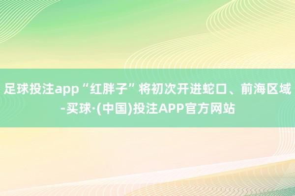 足球投注app“红胖子”将初次开进蛇口、前海区域-买球·(中国)投注APP官方网站