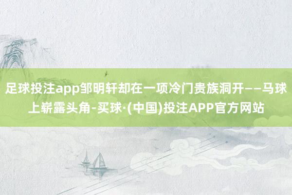 足球投注app邹明轩却在一项冷门贵族洞开——马球上崭露头角-买球·(中国)投注APP官方网站