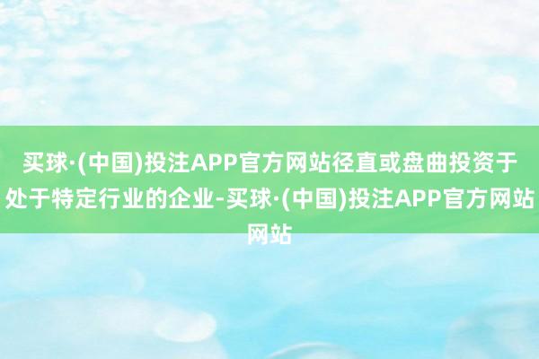 买球·(中国)投注APP官方网站径直或盘曲投资于处于特定行业的企业-买球·(中国)投注APP官方网站