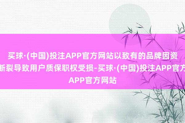 买球·(中国)投注APP官方网站以致有的品牌因资金链断裂导致用户质保职权受损-买球·(中国)投注APP官方网站